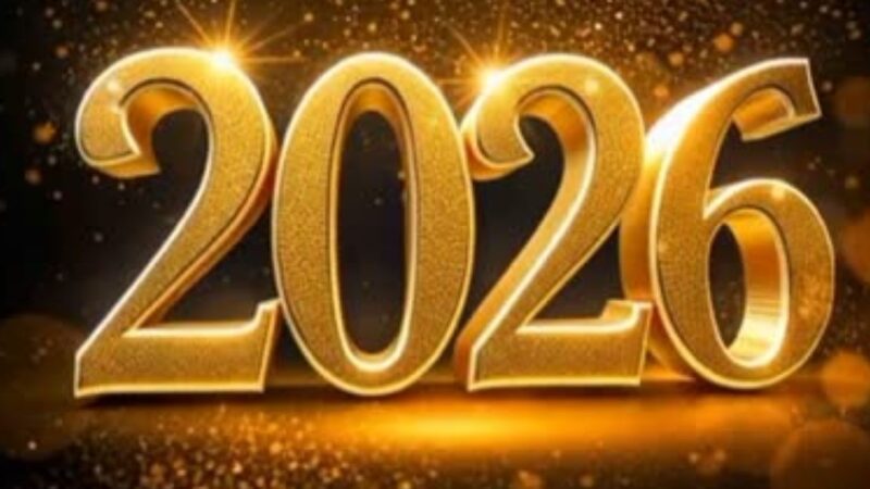 2025年実績報告と年末年始の営業について